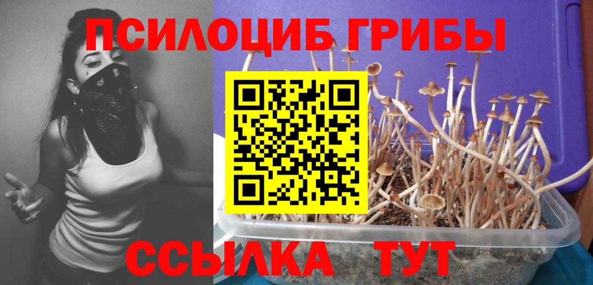Псилоцибиновые грибы мухоморы Сочи