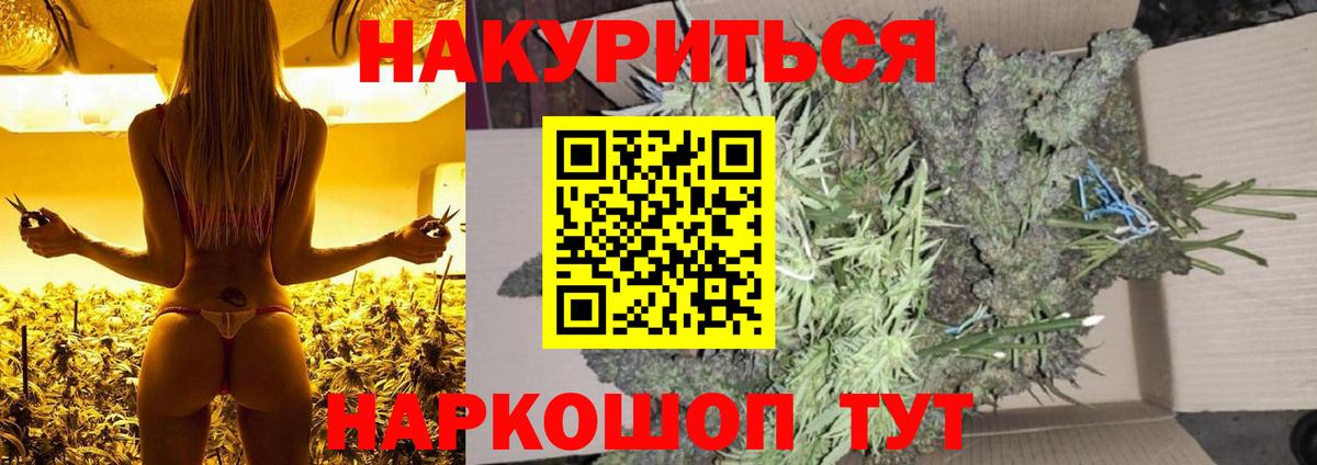 Шишки марихуана семена Сочи